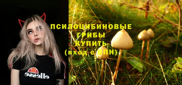 круглые Аркадак