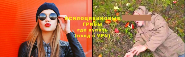 гидропоника Арсеньев
